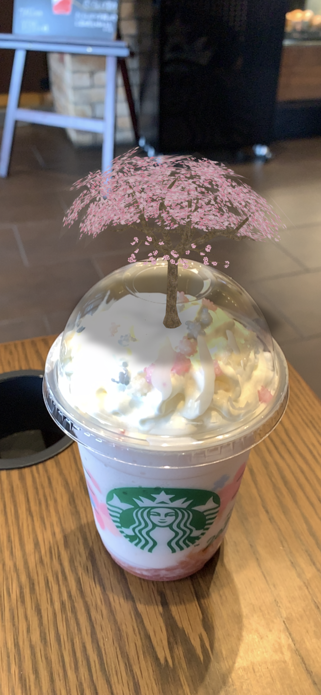 ARでとびだすスタバの桜!