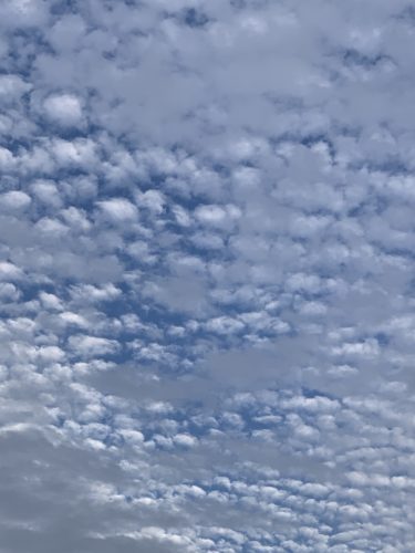 秋の空は素晴らしい!