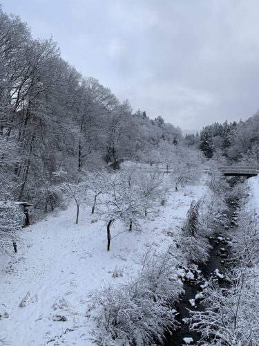 目覚めたら白銀の世界でした!