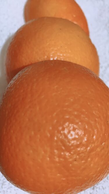 柑橘の皮で入浴!