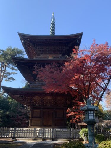 所用で豪徳寺まで行ってきました!