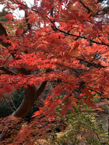 我が子の成長に母は大満足!