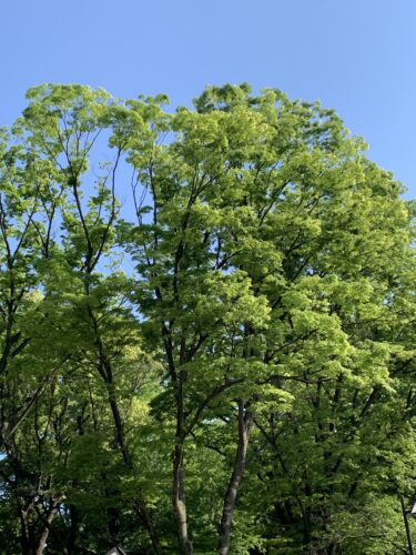 お天気に恵まれて最高!